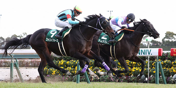 ゴール前抜け出してシルクロードSを制したナムラクレア（右）（撮影・白石智彦）＝2023年1月29日、中京競馬場