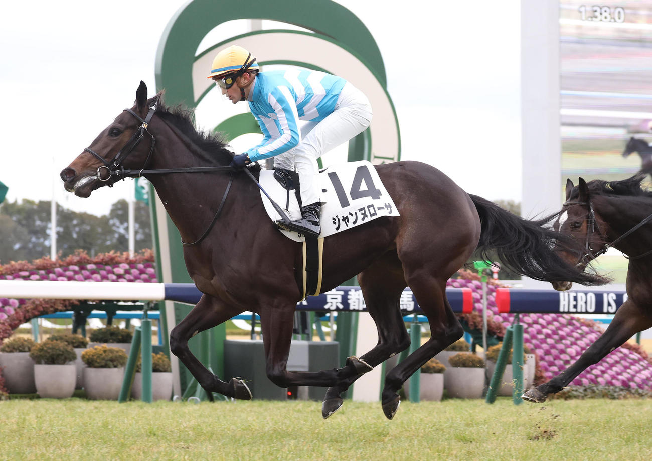 京都5R、逃げ切って新馬戦を制したジャンヌローサ（撮影・白石智彦）