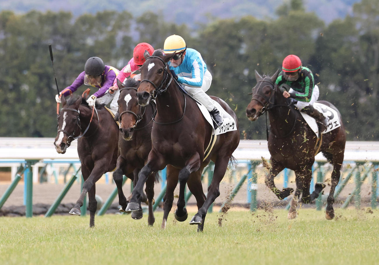 京都5R、逃げ切って新馬戦を制したジャンヌローサ（左から3頭目）（撮影・白石智彦）