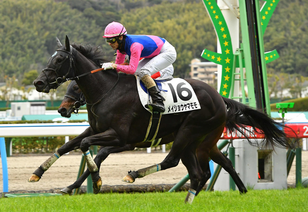 小倉5R新馬戦　1着のメイショウヤマモモと秋山真一郎騎手（撮影・岩下翔太）