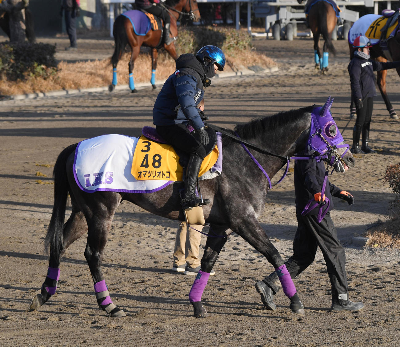 石川騎手を背に調教に向かうオマツリオトコ（2024年1月18日撮影）