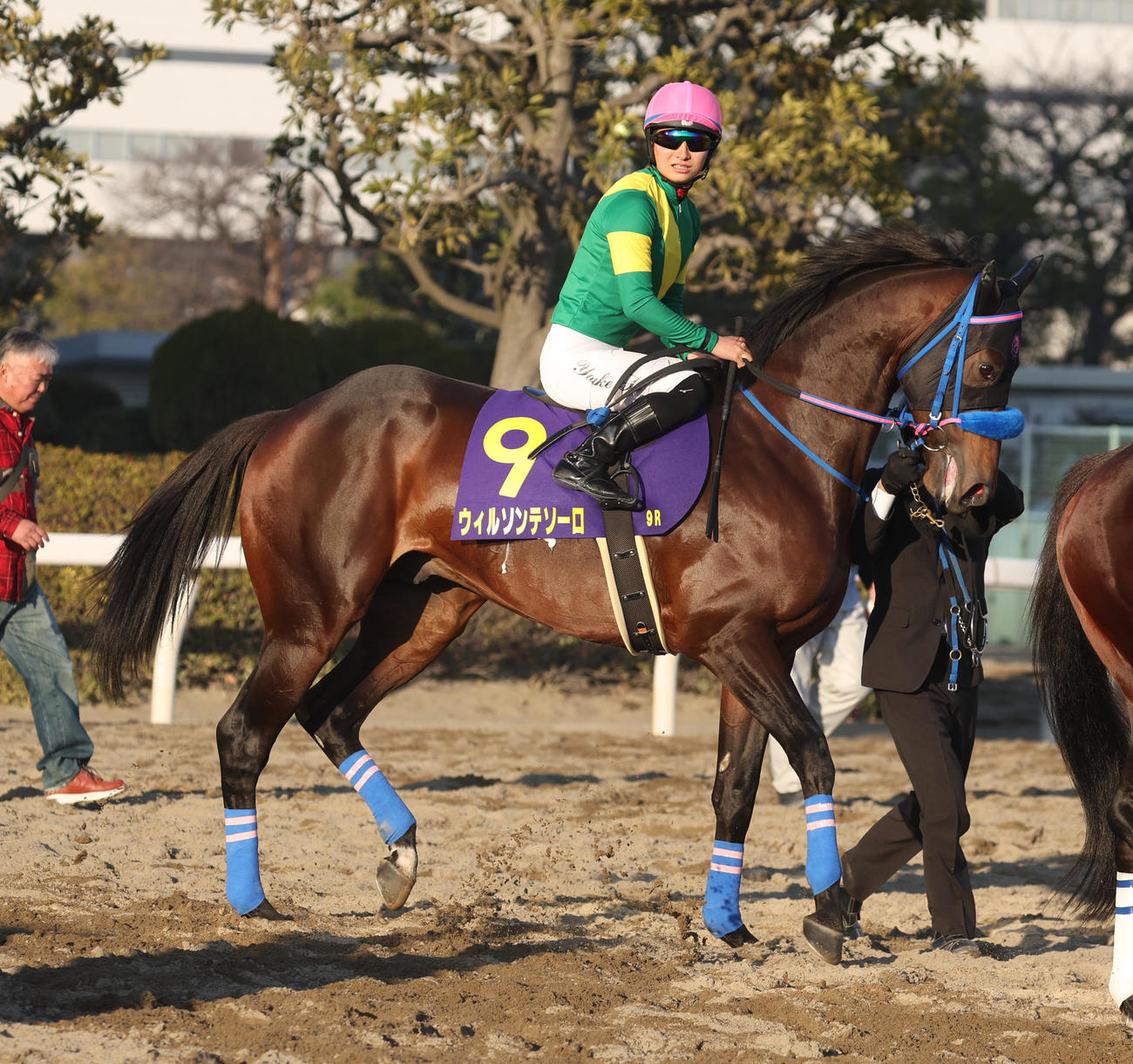 東京大賞典に出走したウィルソンテソーロと原優介騎手（2023年12月撮影）