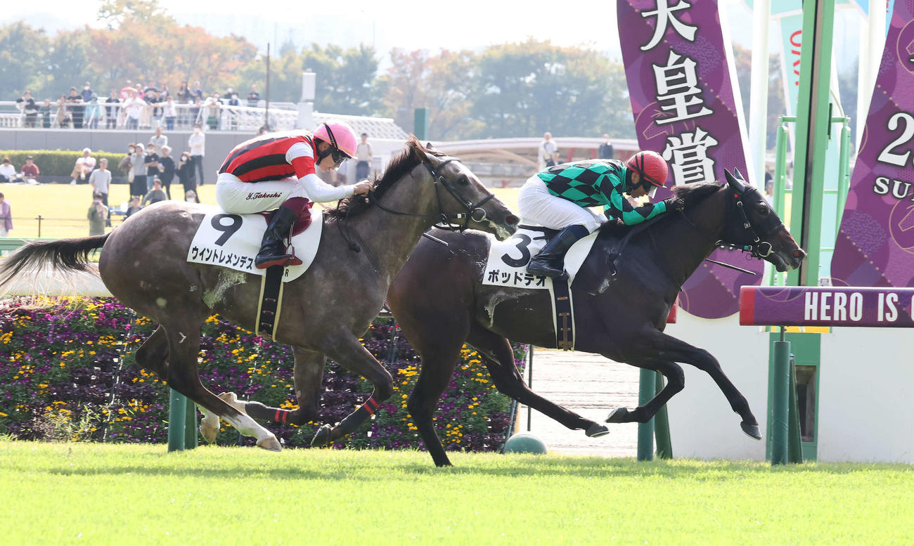 2歳未勝利戦を制したポッドテオ（23年10月28日撮影）