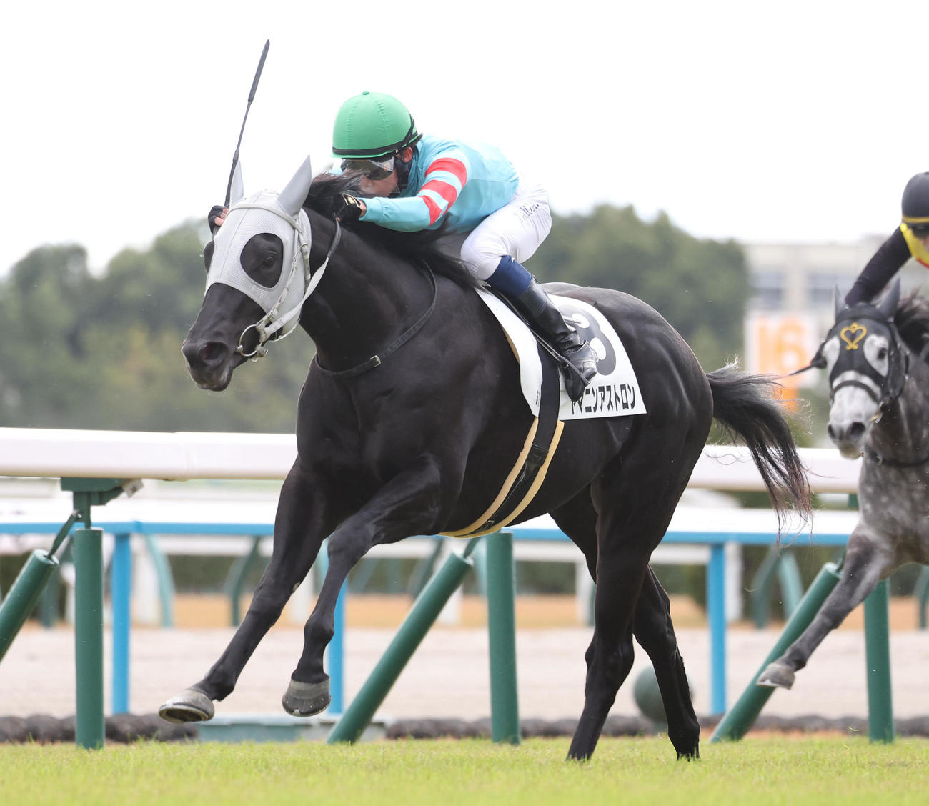 直線抜け出して新馬戦を制したヤマニンアストロン（撮影・白石智彦）