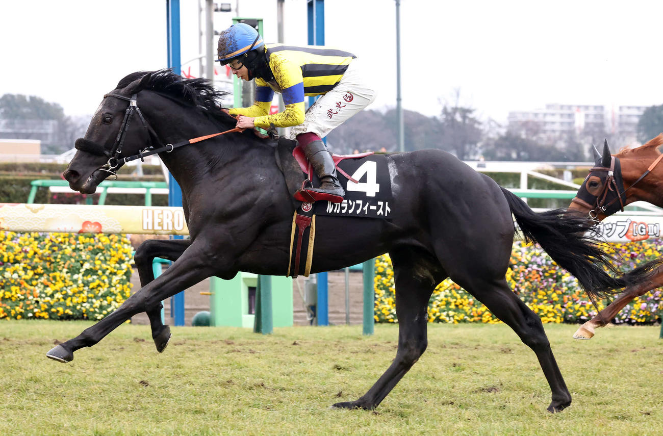若竹賞を制したルカランフィースト（2024年1月21日撮影）