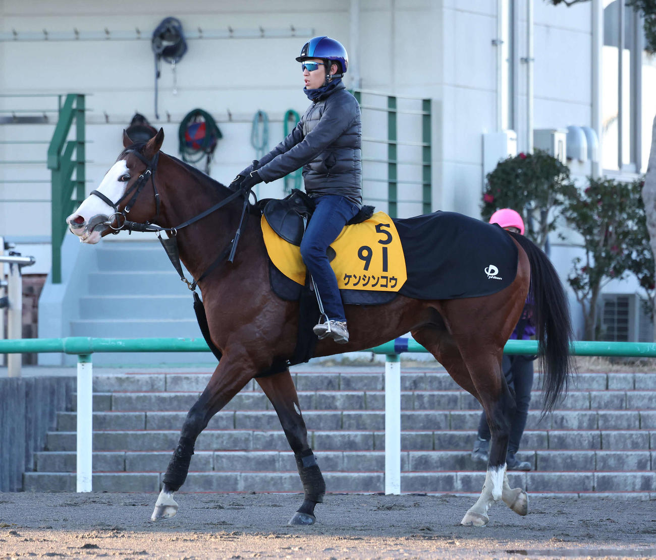 調教を終えて馬場を出るケンシンコウ（撮影・丹羽敏通）