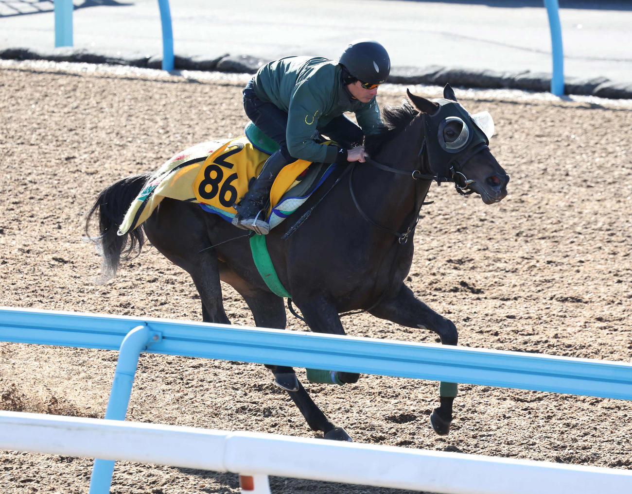 エターナルタイムは美浦ウッドを軽快なフットワークで駆け抜けた（撮影・丹羽敏通）