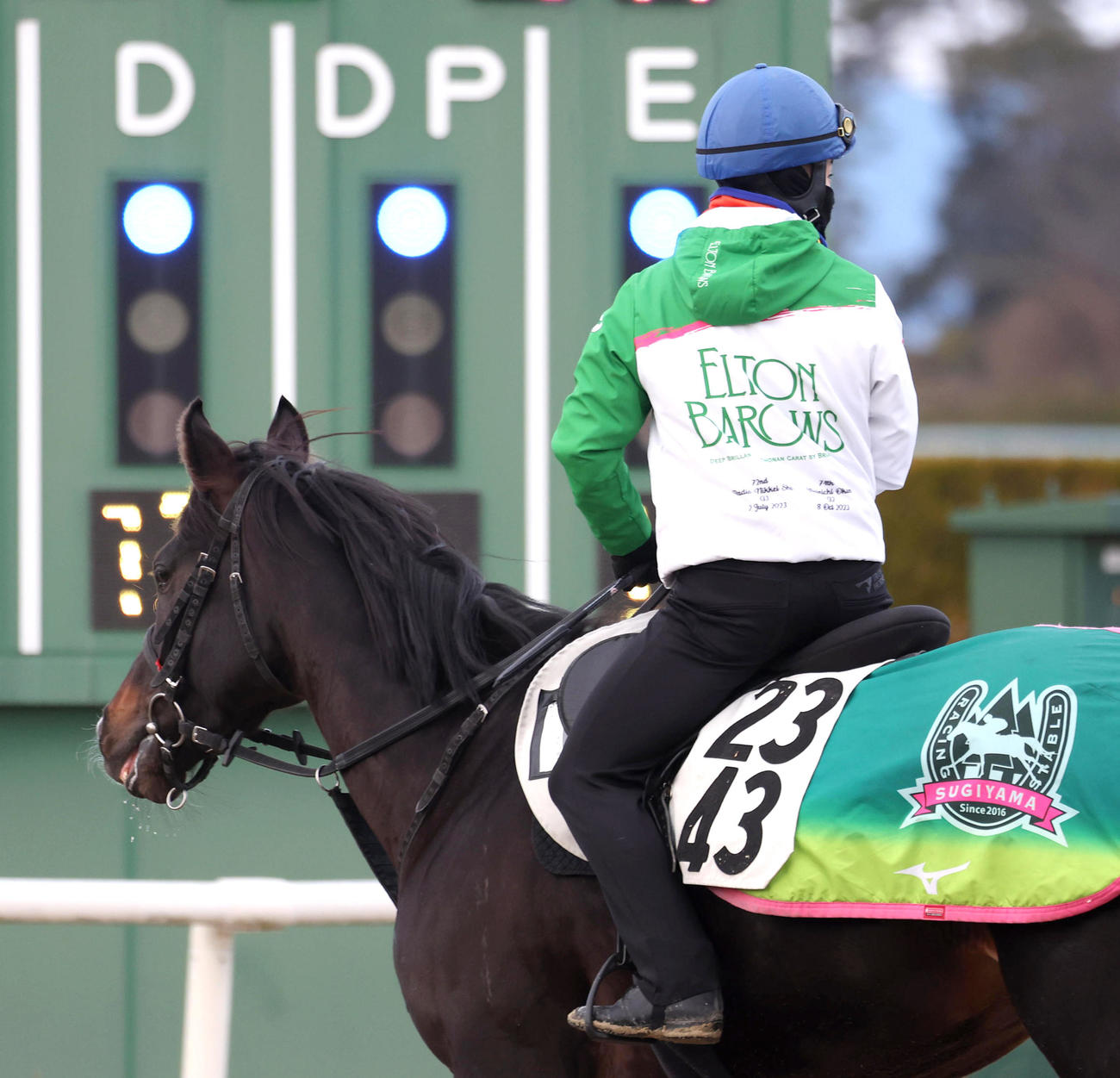 西村淳騎手を背にスタンド前で運動するルガル（撮影・白石智彦）