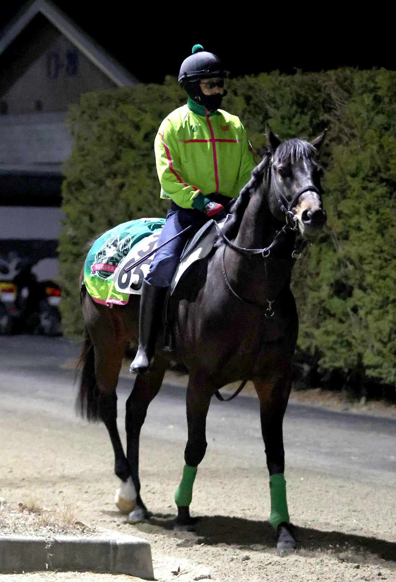 厩舎周りで運動するエンペラーワケア（撮影・白石智彦）