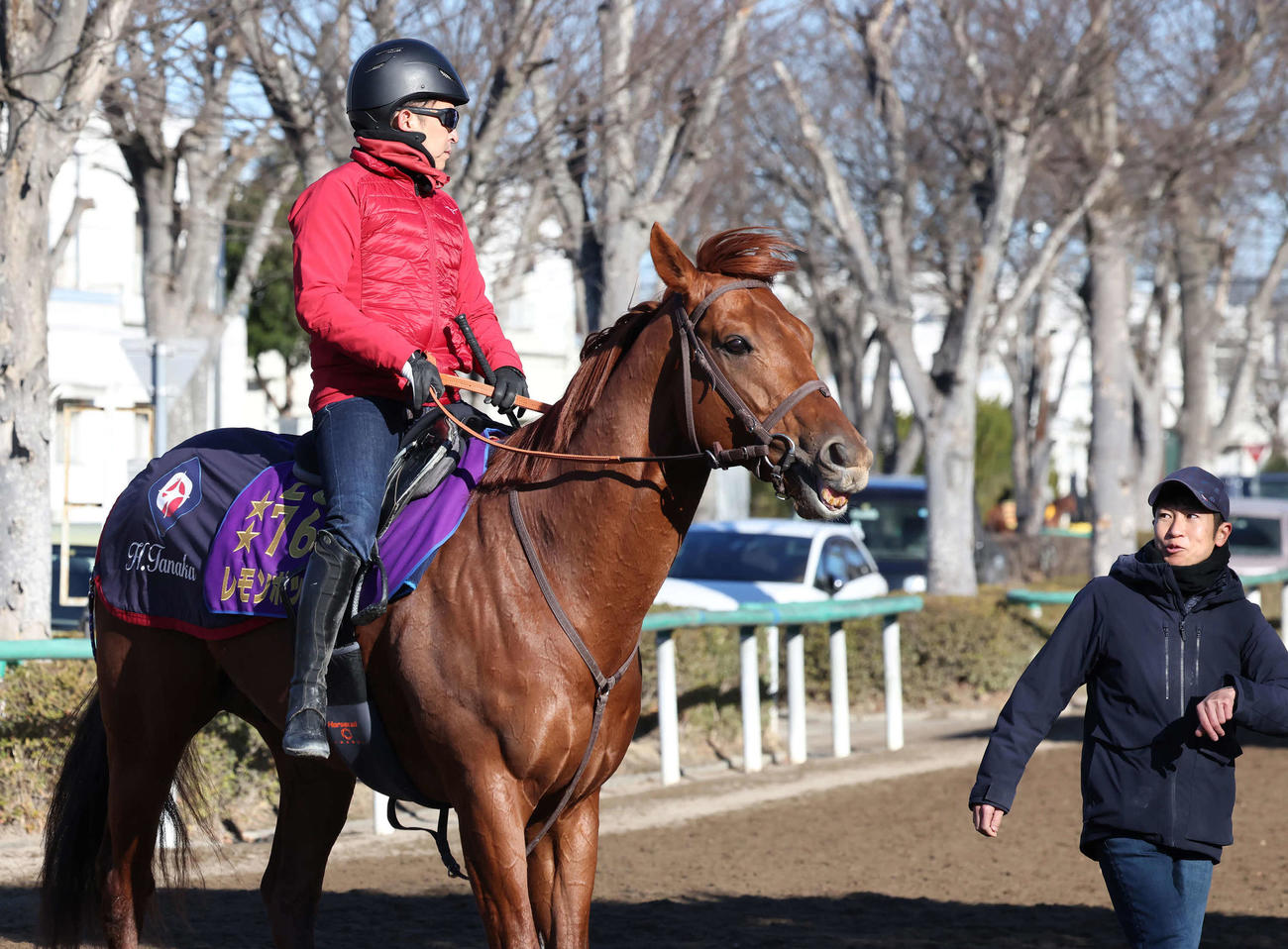 G1馬レモンポップの追い切りを終えて田中博師（右）と話す福永師（撮影・丹羽敏通）
