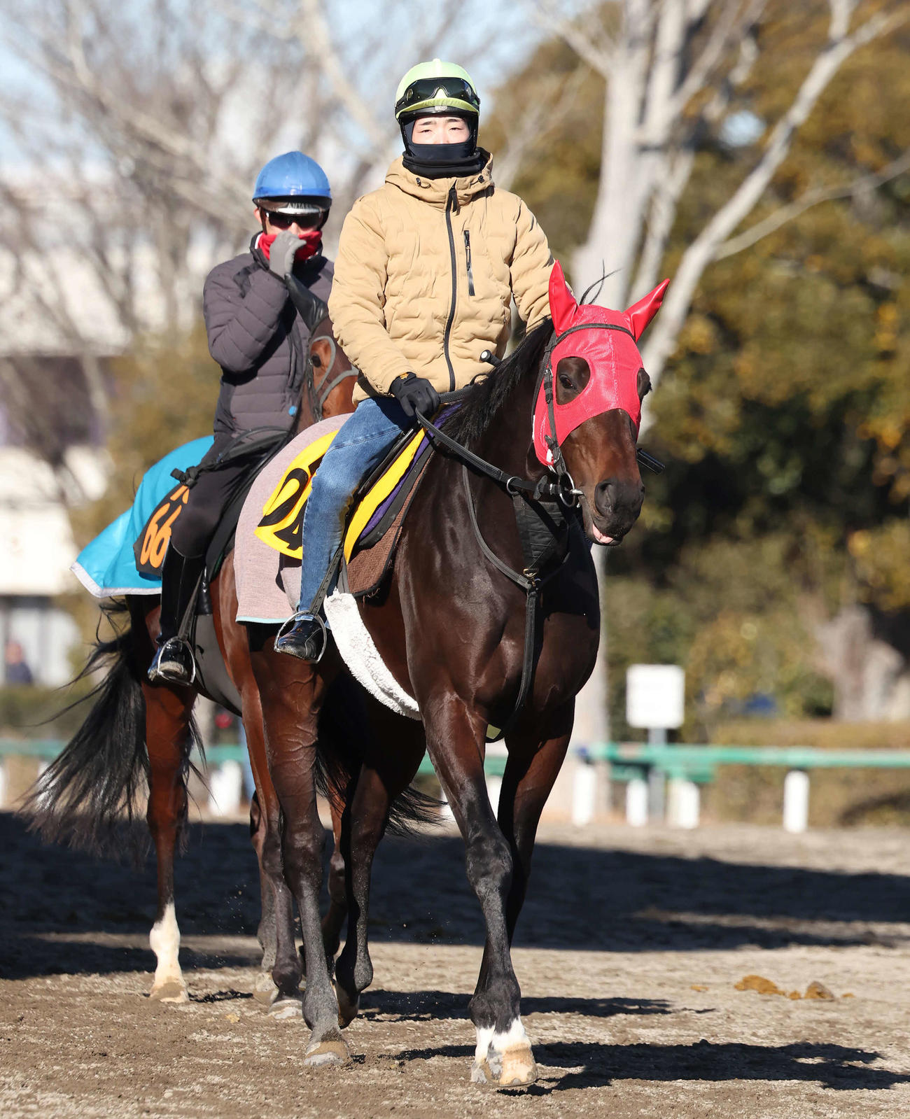 馬場へ向かうライラボンドと小林勝騎手（撮影・丹羽敏通）
