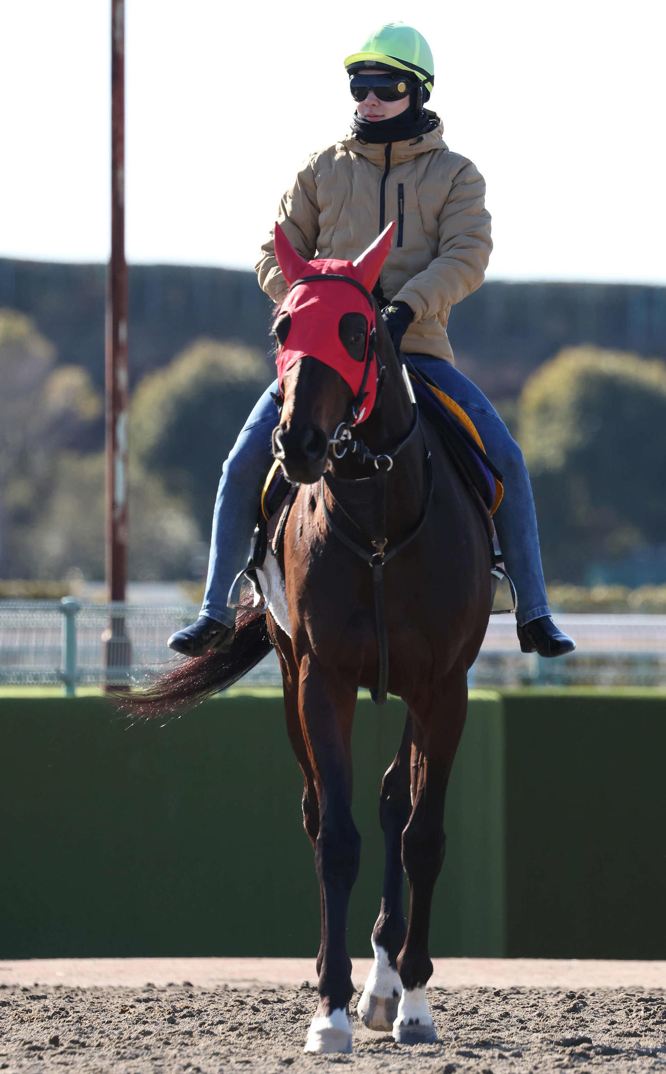 ライラボンドの追い切りを終えて馬場を出る小林勝騎手（撮影・丹羽敏通）