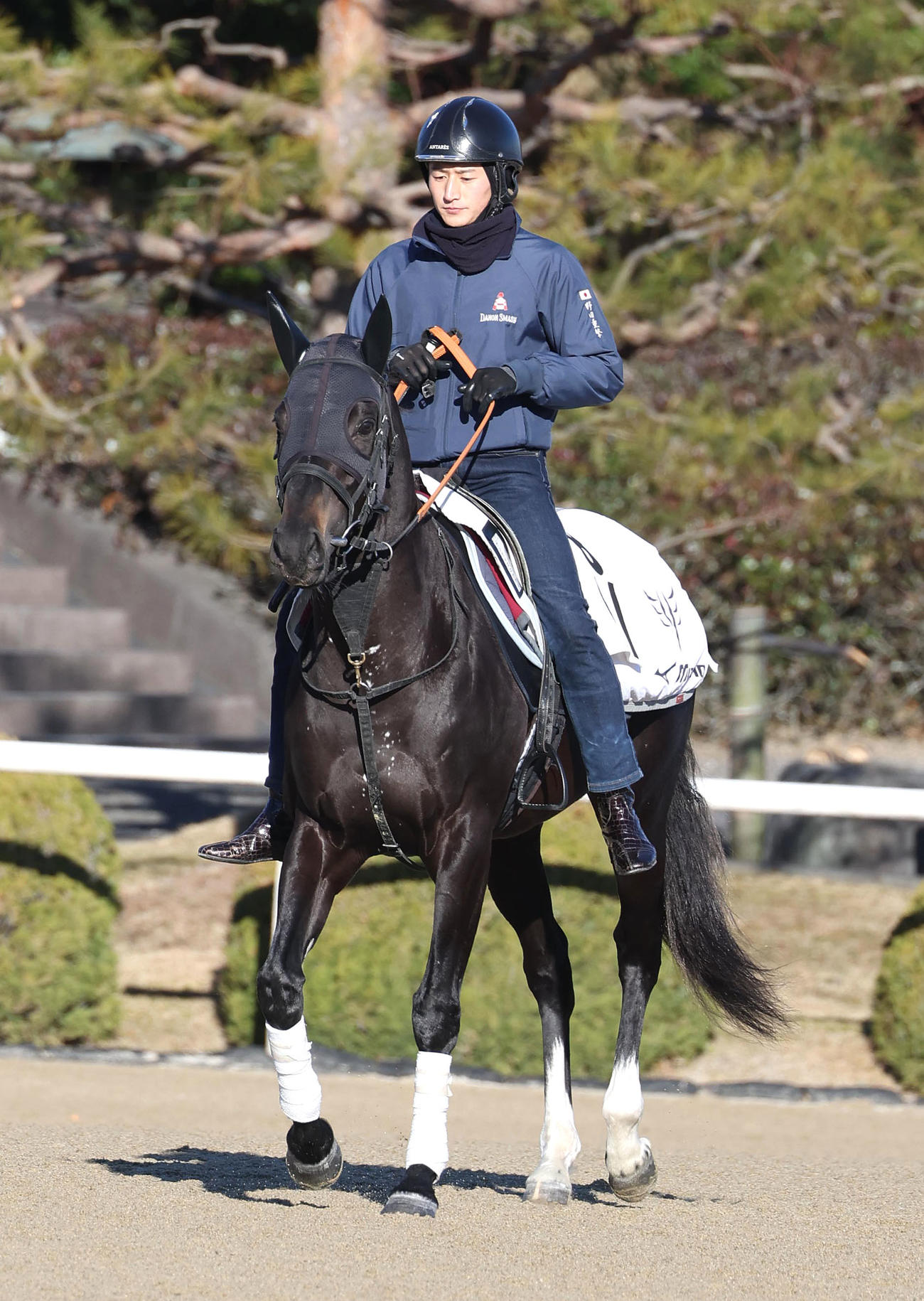 スタンド前で運動するサンライズロナウド（撮影・白石智彦）