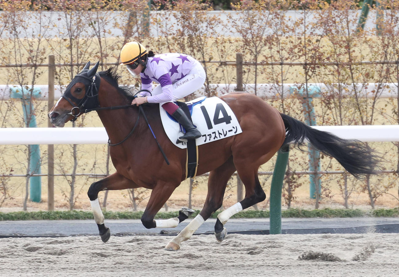 京都4R、直線抜け出して新馬戦を制したファストレーン。今村騎手は今年の初勝利（撮影・白石智彦）