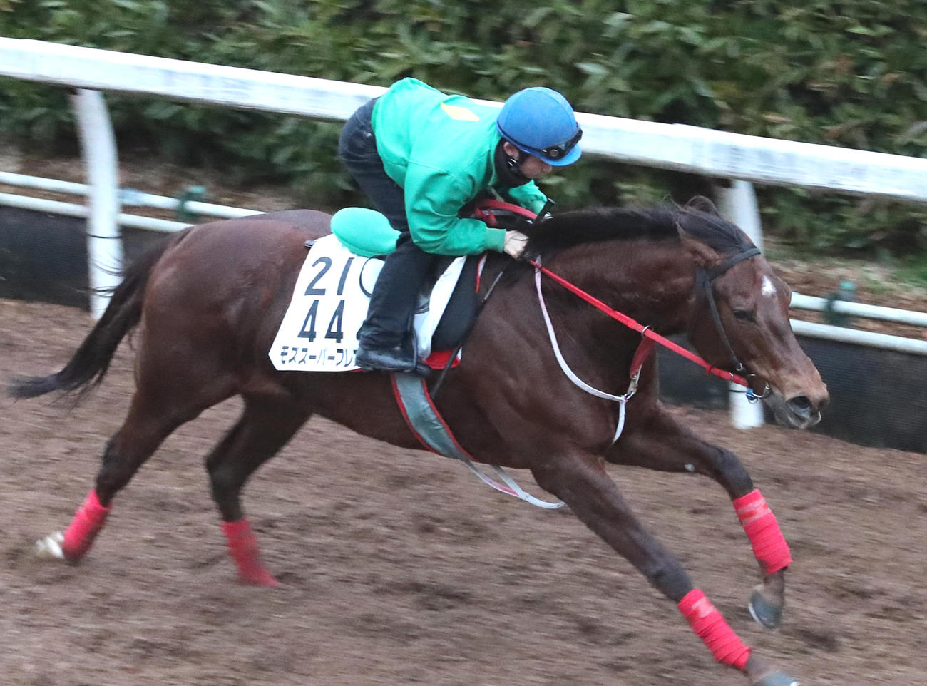 20年1月、素手で調教に臨む松若風馬騎手
