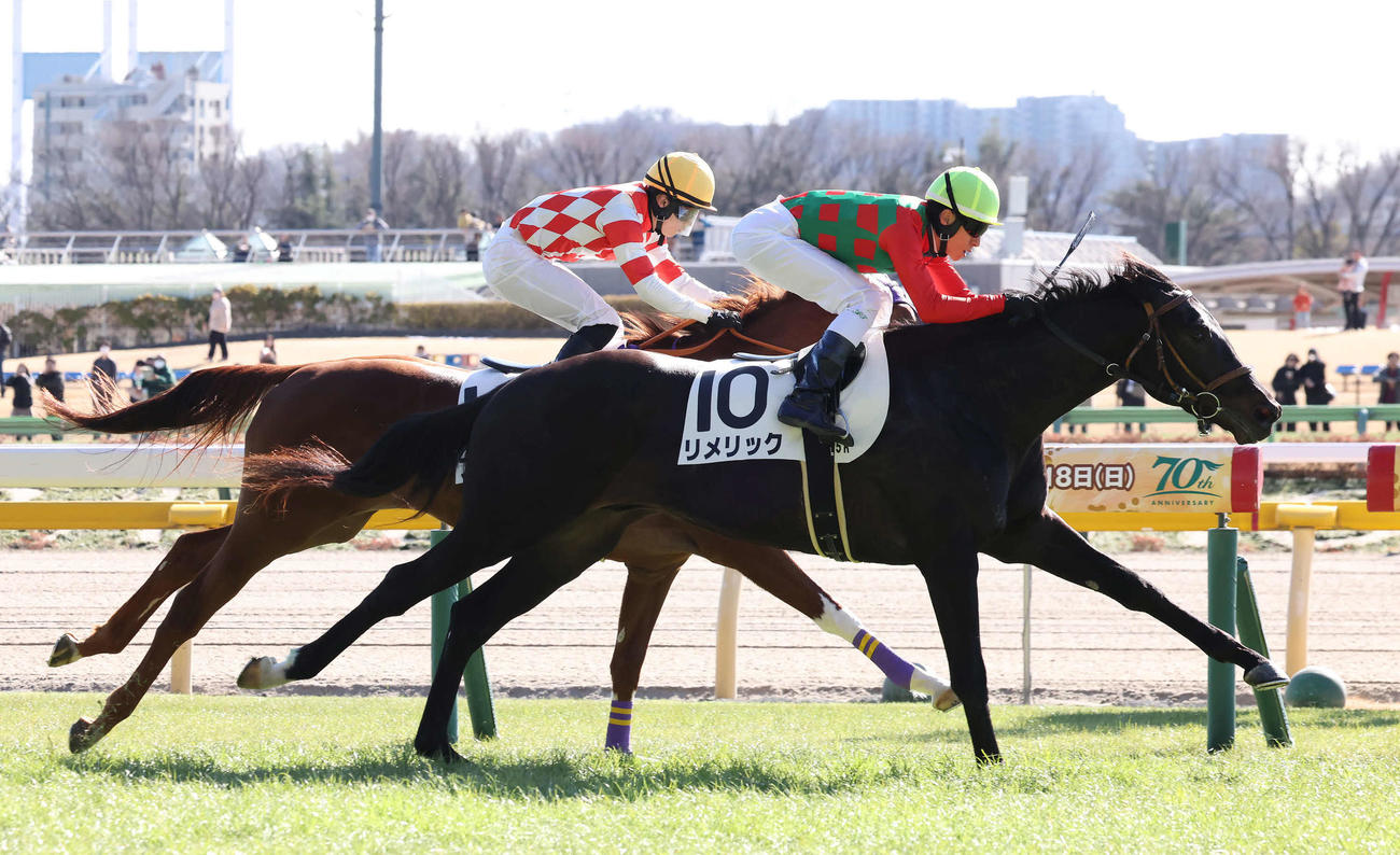 東京5R、3歳新馬戦を制したリメリックと津村騎手（手前）（撮影・丹羽敏通）