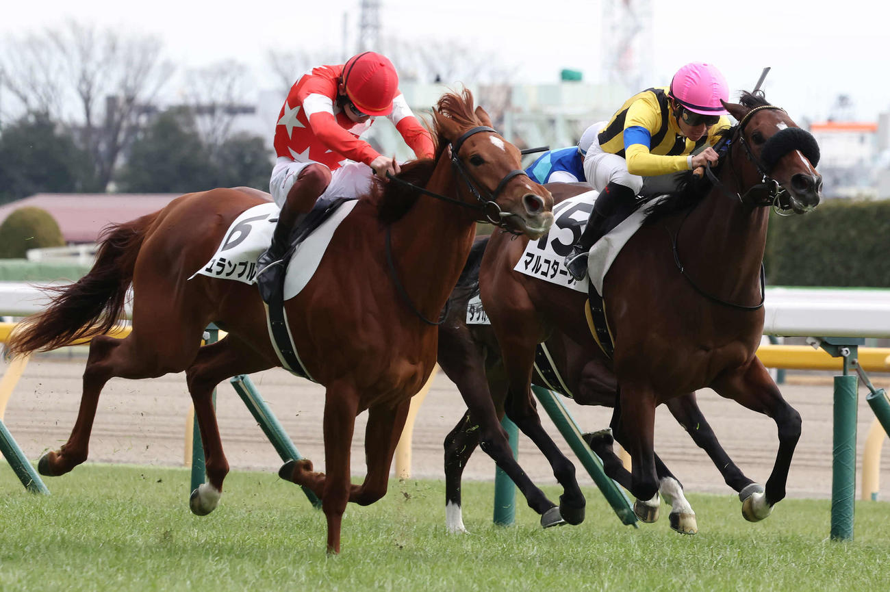 東京5R、ゴール手前で差し返して3歳新馬戦を制したマルコタージュと杉原騎手（右）（撮影・丹羽敏通）