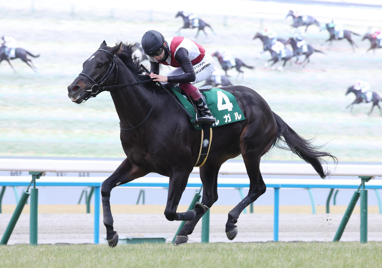 直線抜け出してシルクロードSを快勝したルガル（撮影・白石智彦）