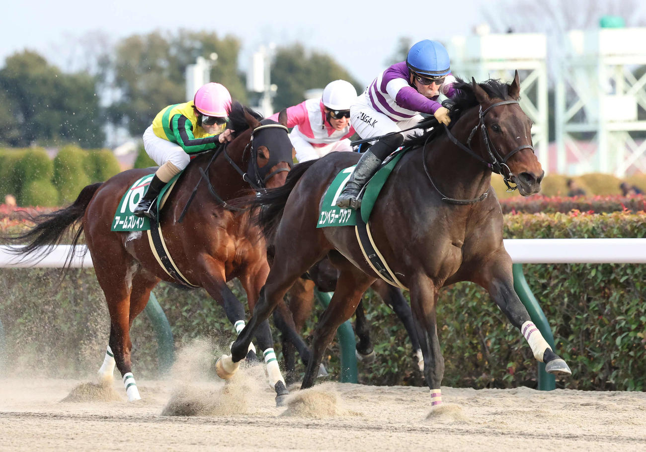 根岸Sを制したエンペラーワケアと川田騎手（撮影・丹羽敏通）