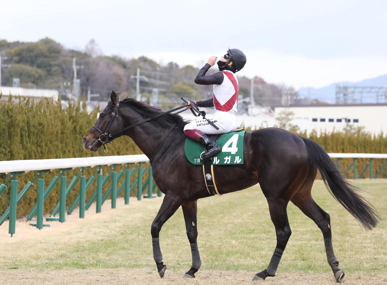 ルガルでシルクロードSを制した西村淳騎手は天を仰ぐ（撮影・白石智彦）