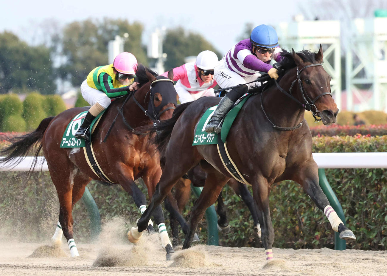 根岸Sを制したエンペラーワケアと川田騎手（撮影・丹羽敏通）