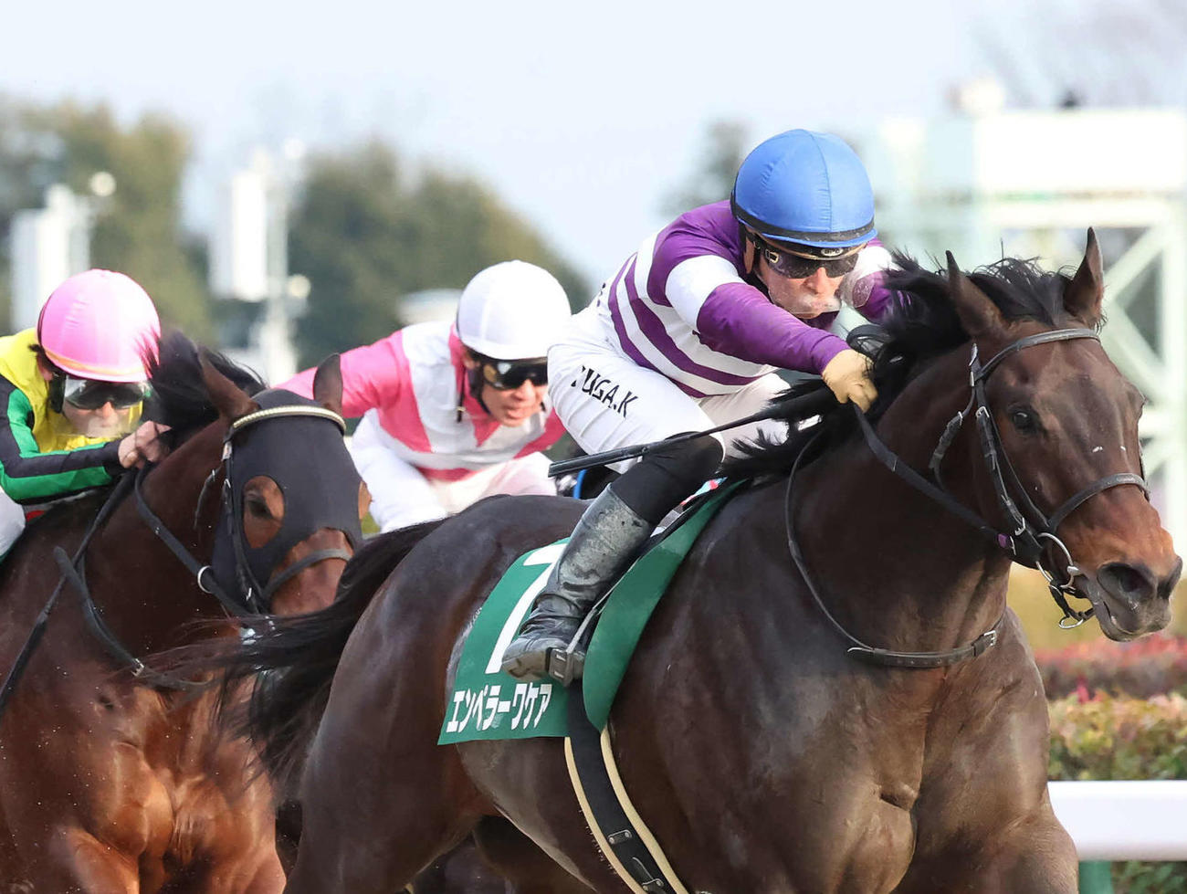 根岸S4着に入ったヘリオスの武豊騎手（中央奥）。右手前は勝ったエンペラーワケア（撮影・丹羽敏通）