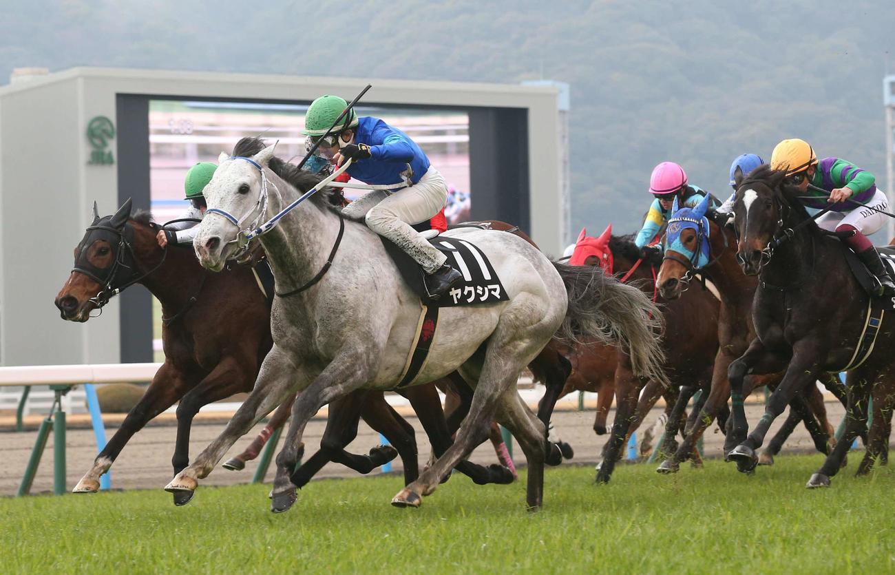 小倉11R、巌流島Sを制したヤクシマと丹内騎手（撮影・冨田成美）