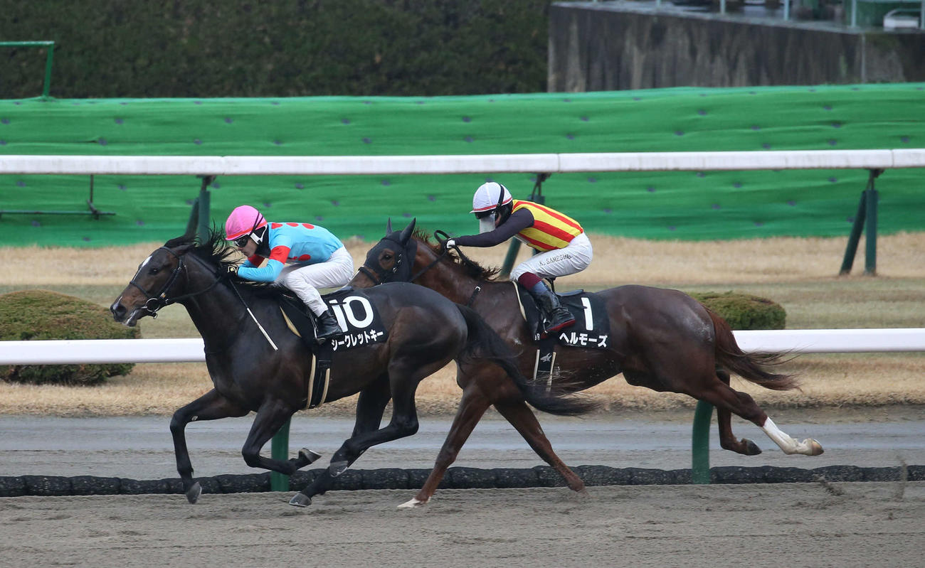 小倉9R、くすのき賞を制したシークレットキーと亀田騎手（左）（撮影・冨田成美）