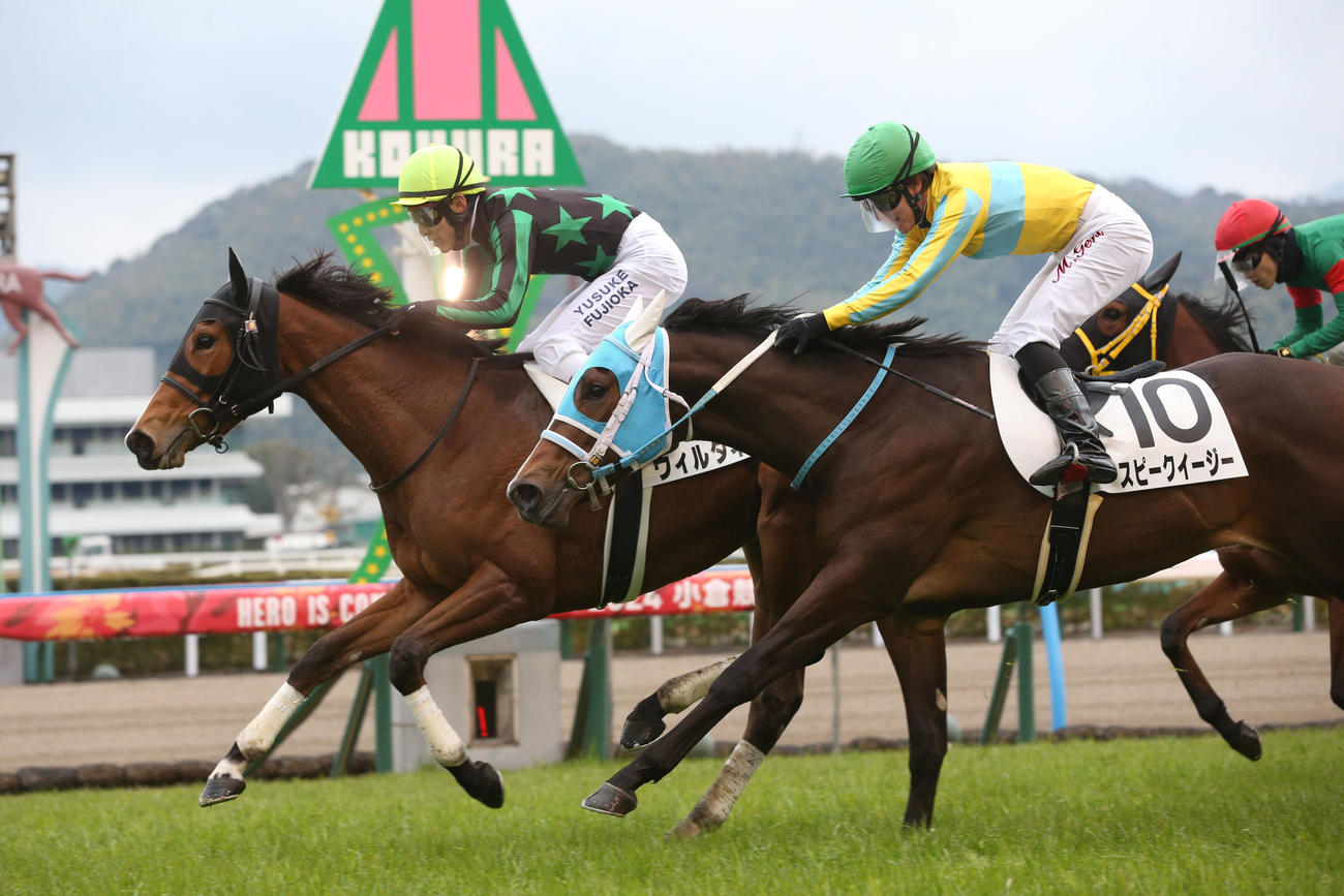 小倉5R、3歳新馬戦を制したウィルダネスと藤岡佑騎手（左）（撮影・冨田成美）