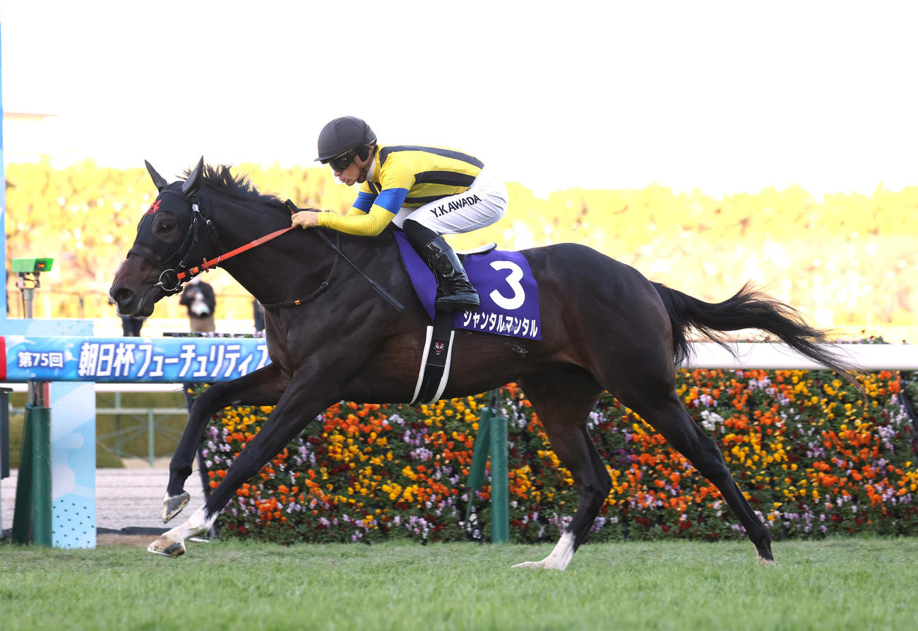 直線抜け出して3連勝で朝日杯FSを制したジャンタルマンタル（2023年12月17日撮影）
