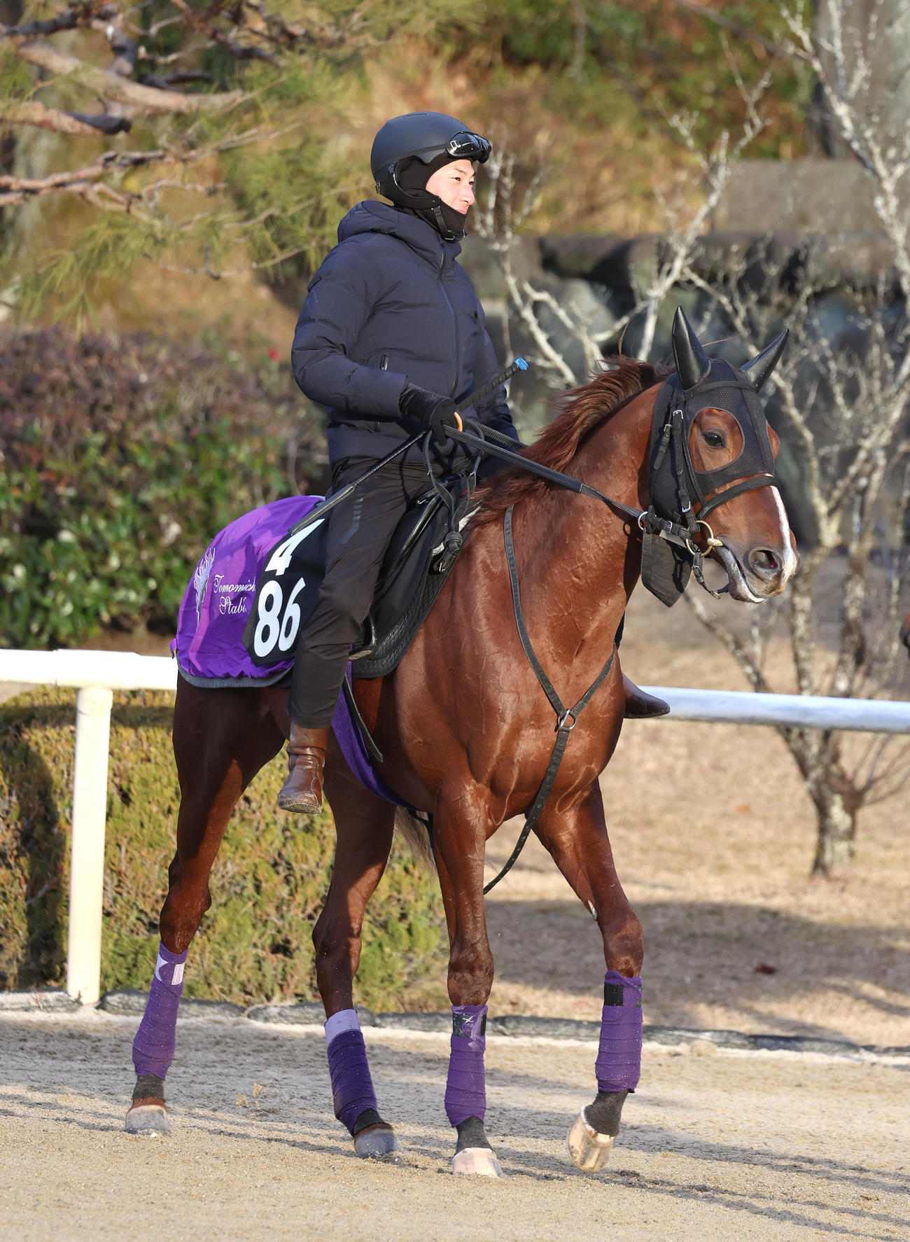 調教から引き揚げるシヴァース（24年1月24日撮影）