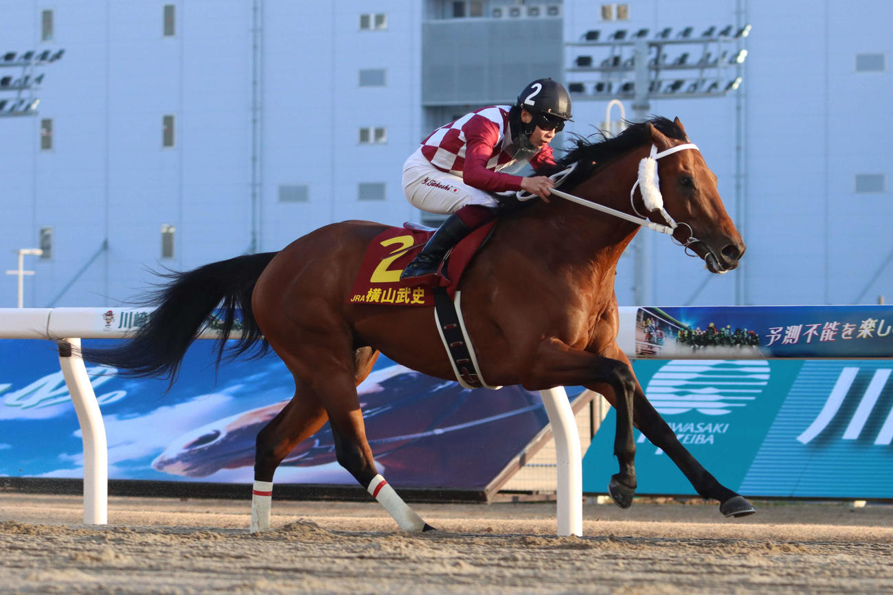 佐々木竹見カップ第2戦ヴィクトリーチャレンジ　逃げ切りで制したイデアミラーグロと横山武騎手