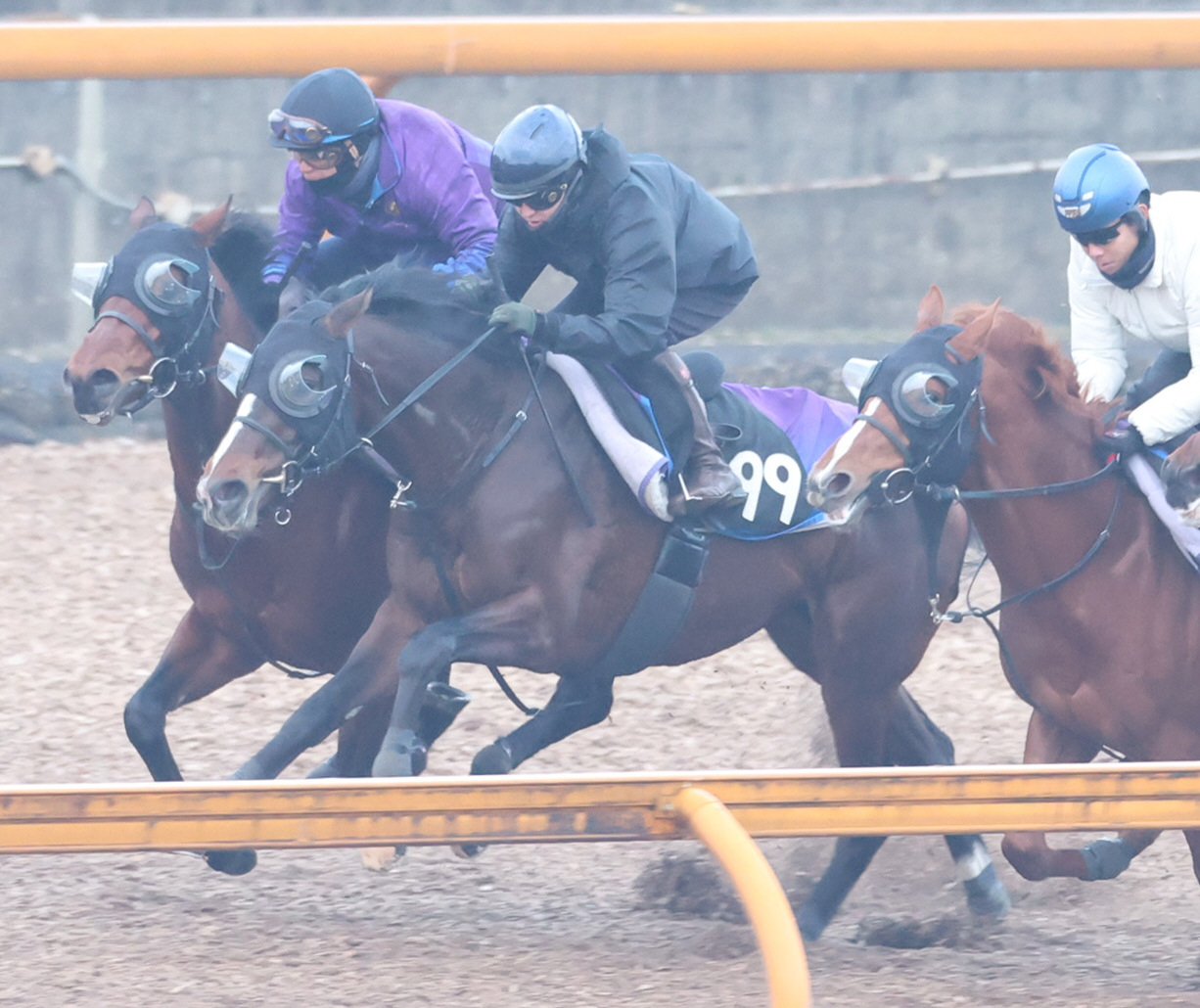 鮫島駿騎手を背にCWコースにて併せ馬で追い切るインザモーメント（中央）　