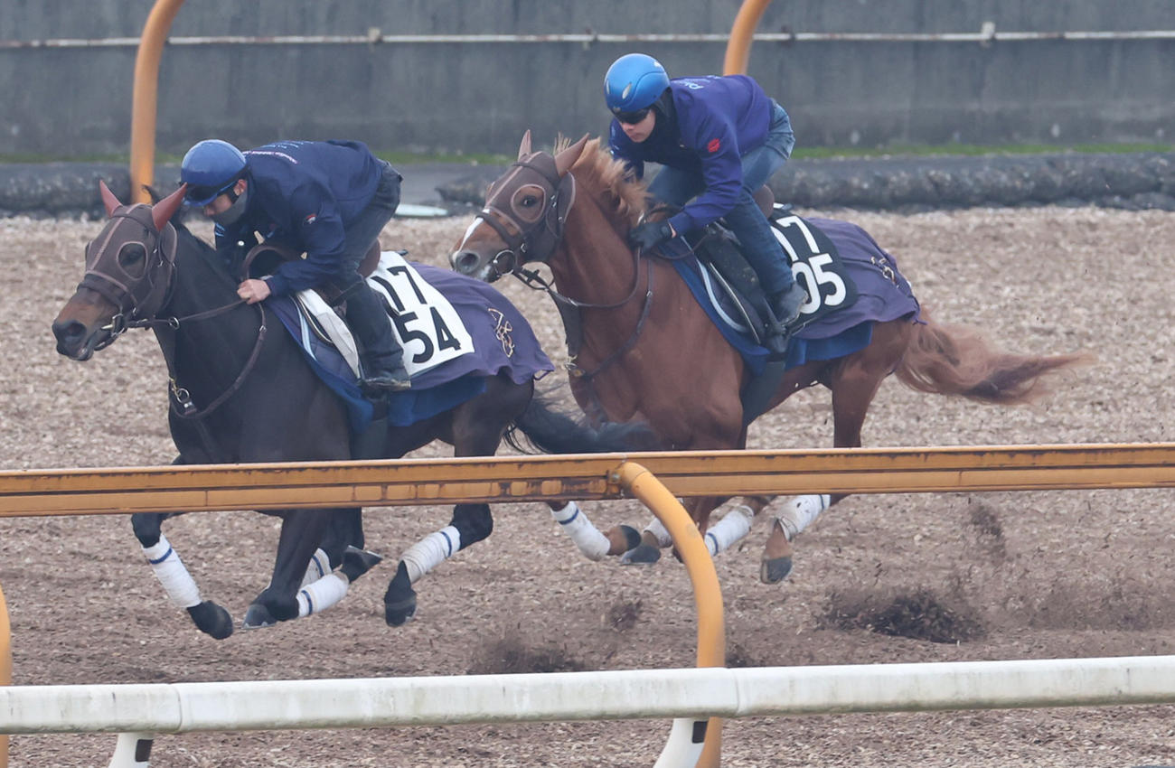 Ｃウッドにて併せ馬で追い切るビザンチンドリーム（右）