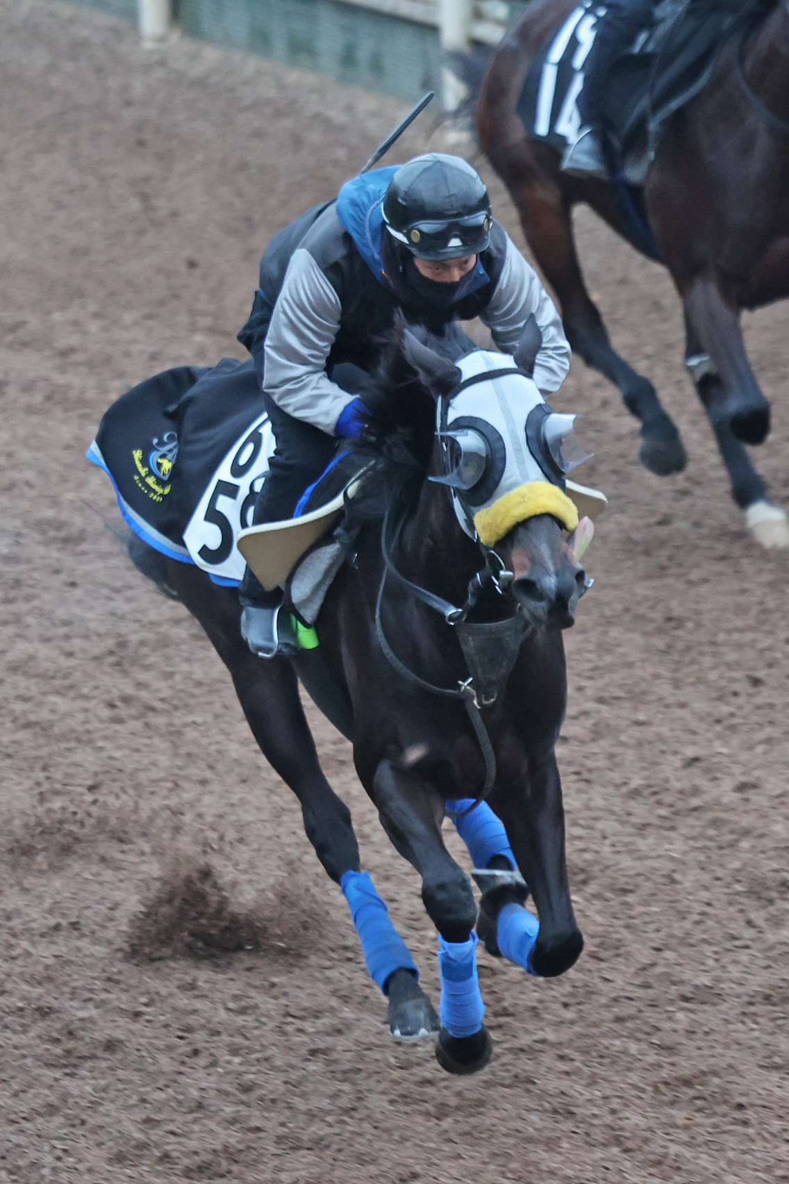 坂路を駆け上がるコナコースト