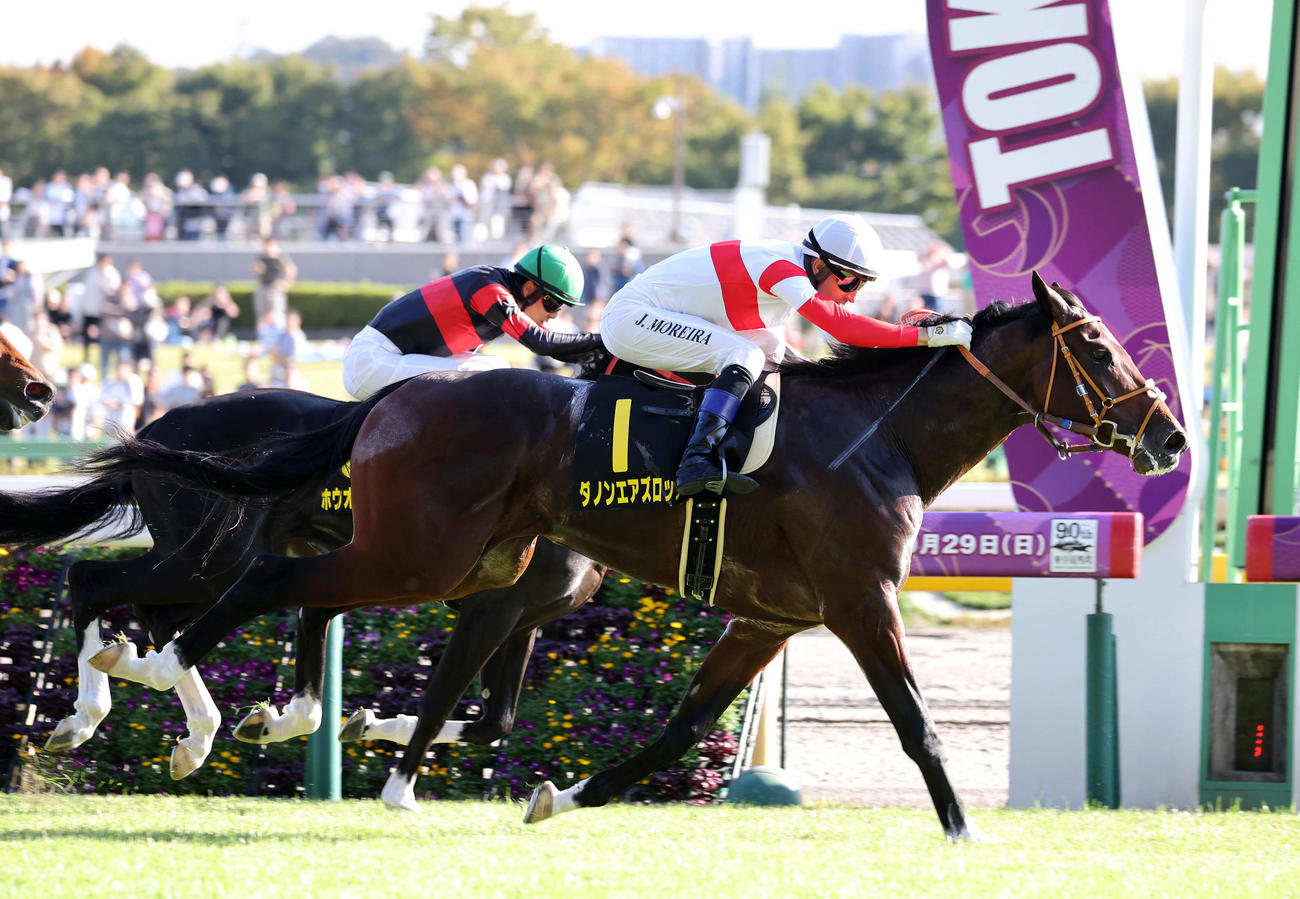 アイビーSを制したダノンエアズロック（手前）（2023年10月21日撮影）