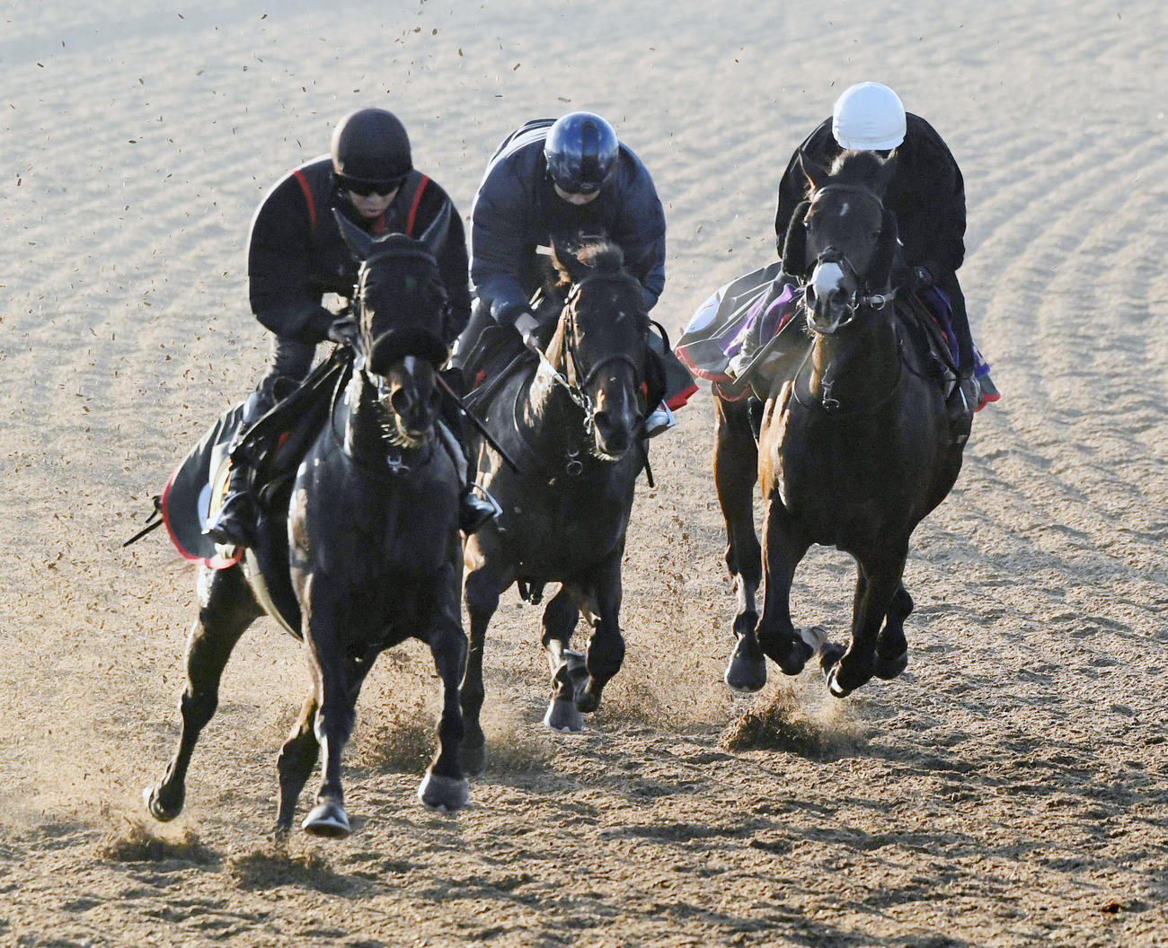 石橋騎手を背にドルチェモア（右）はニコラウス（中央）、ムメと併せて追い切る（撮影・柴田隆二）