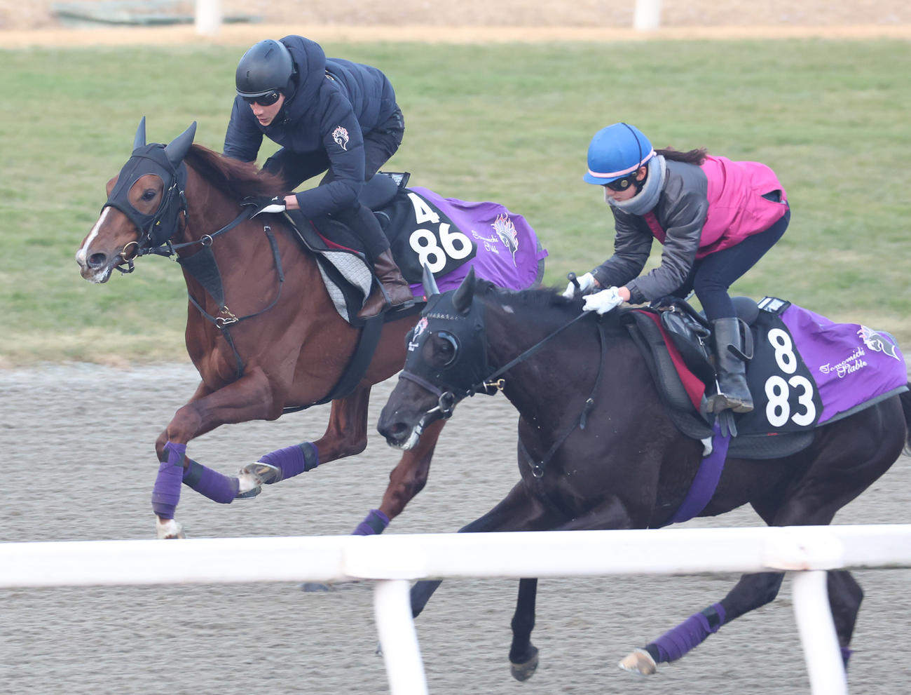1月31日、ポリトラックにて併せ馬で追い切るシヴァース（左）