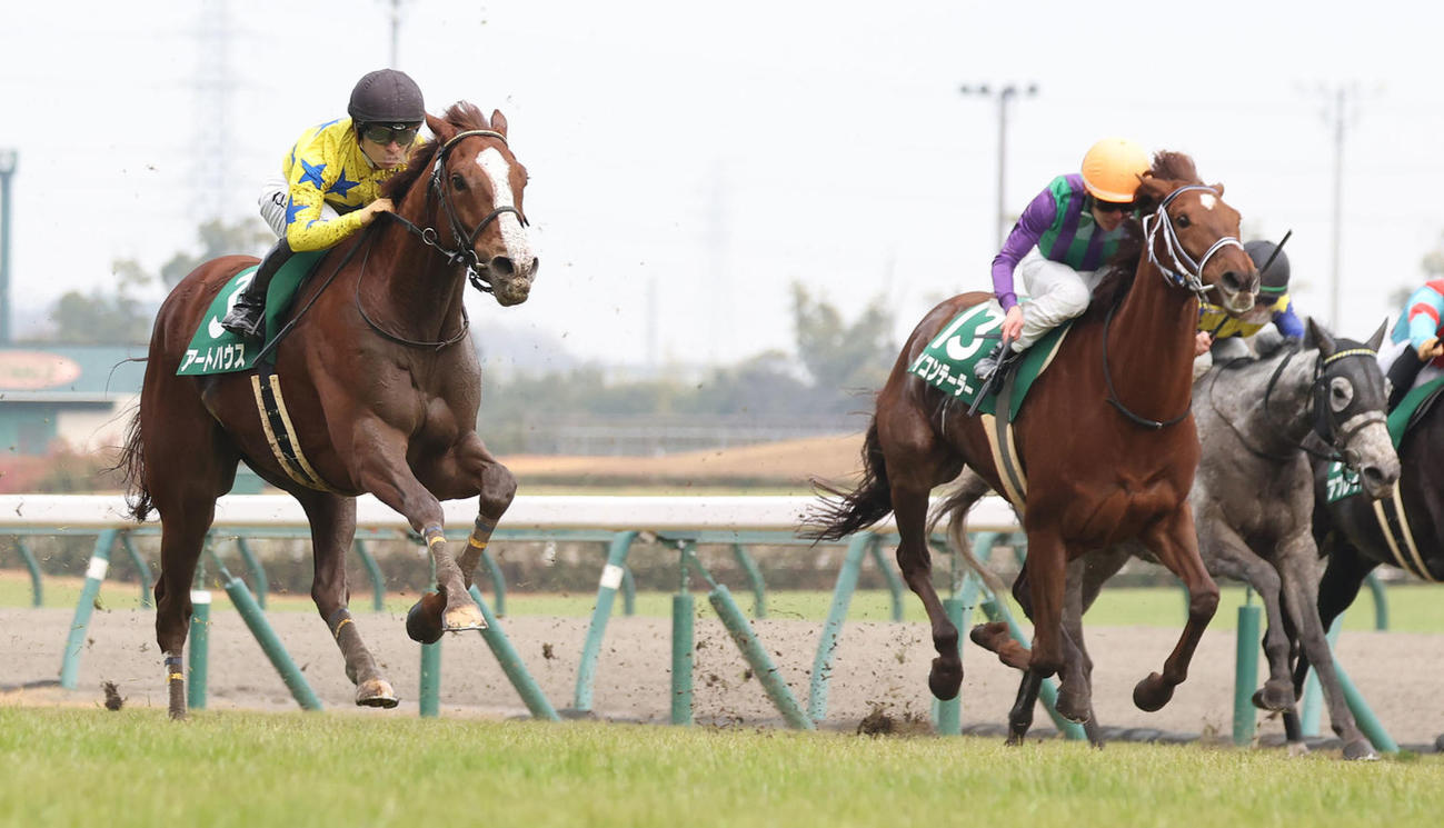 23年1月、愛知杯3着のマリアエレーナ（右）。左は勝ったアートハウス