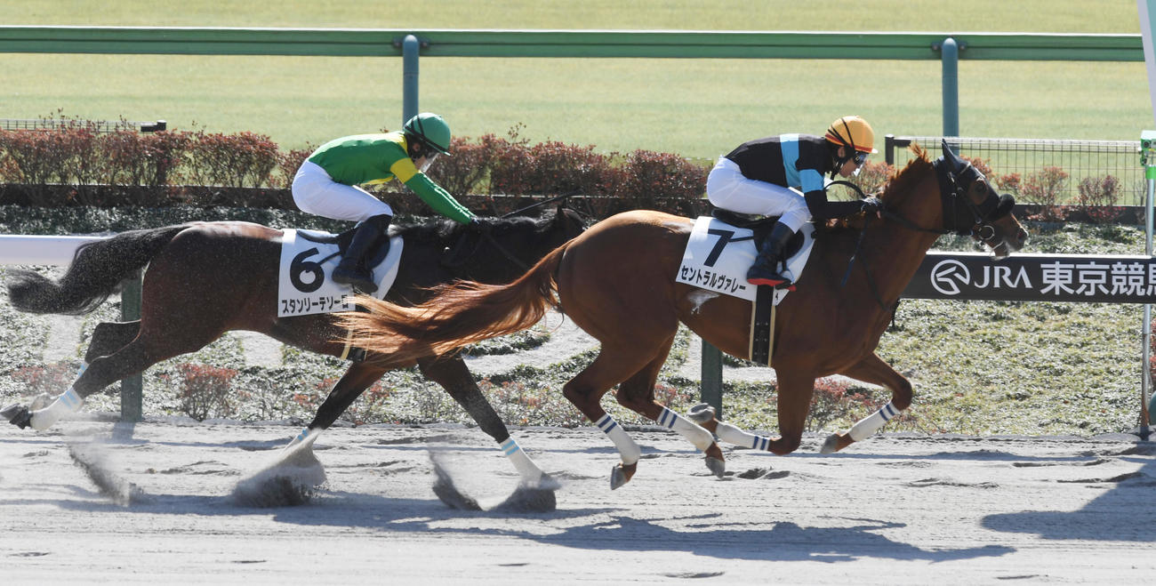 東京4R、1着セントラルヴァレー（右）（撮影・柴田隆二）