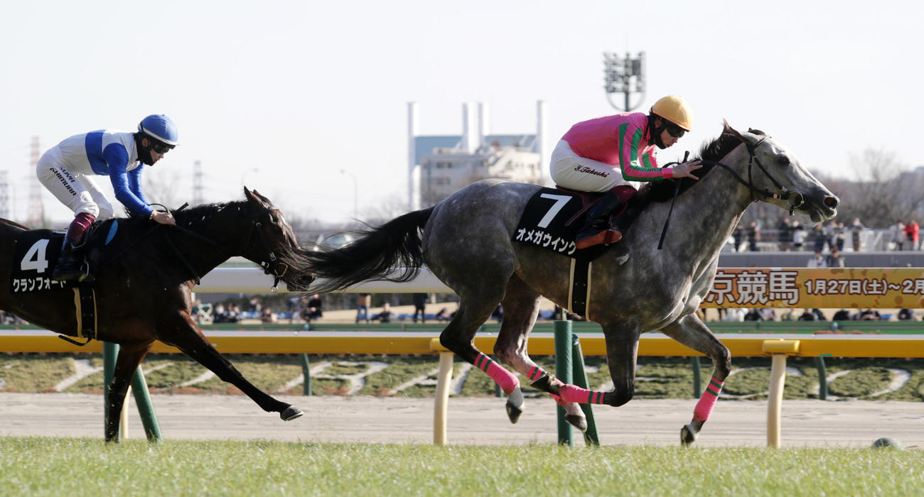 春菜賞を制したオメガウインク（右）、2着クランフォード（撮影・柴田隆二）