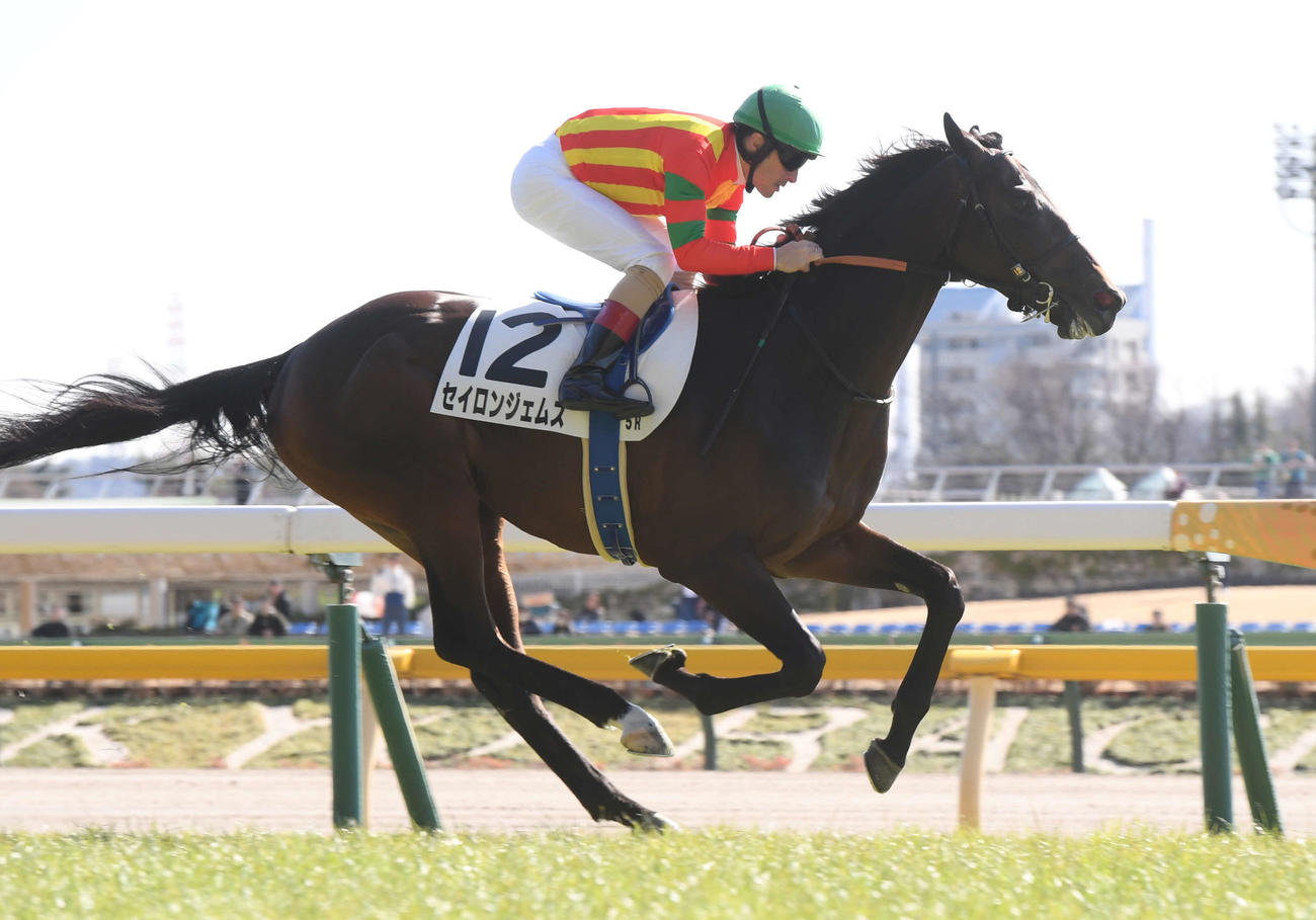 新馬戦を制したセイロンジェムズとルメール騎手（撮影・柴田隆二）