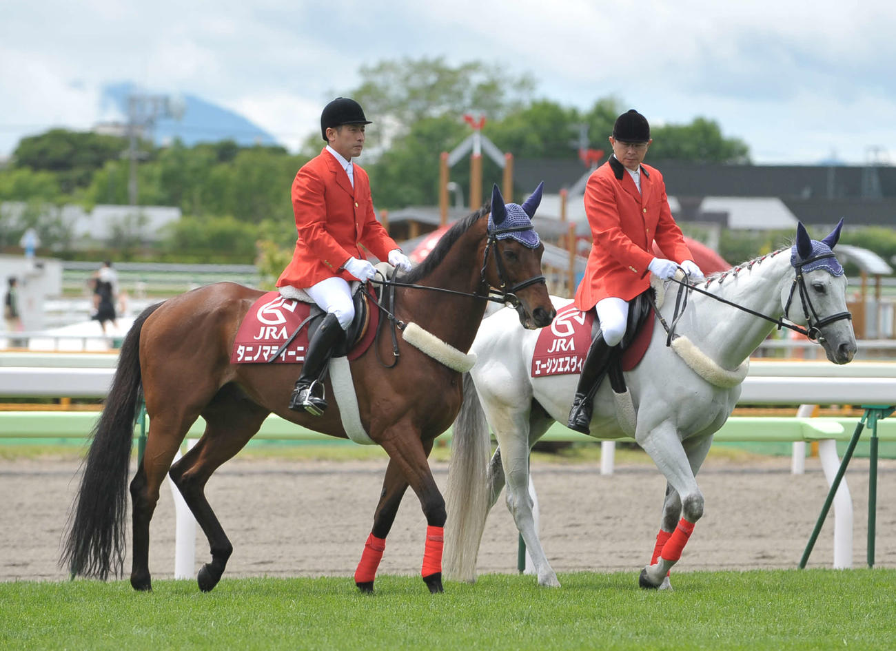 12年6月17日、函館競馬場の誘導馬タニノマティーニ（左）