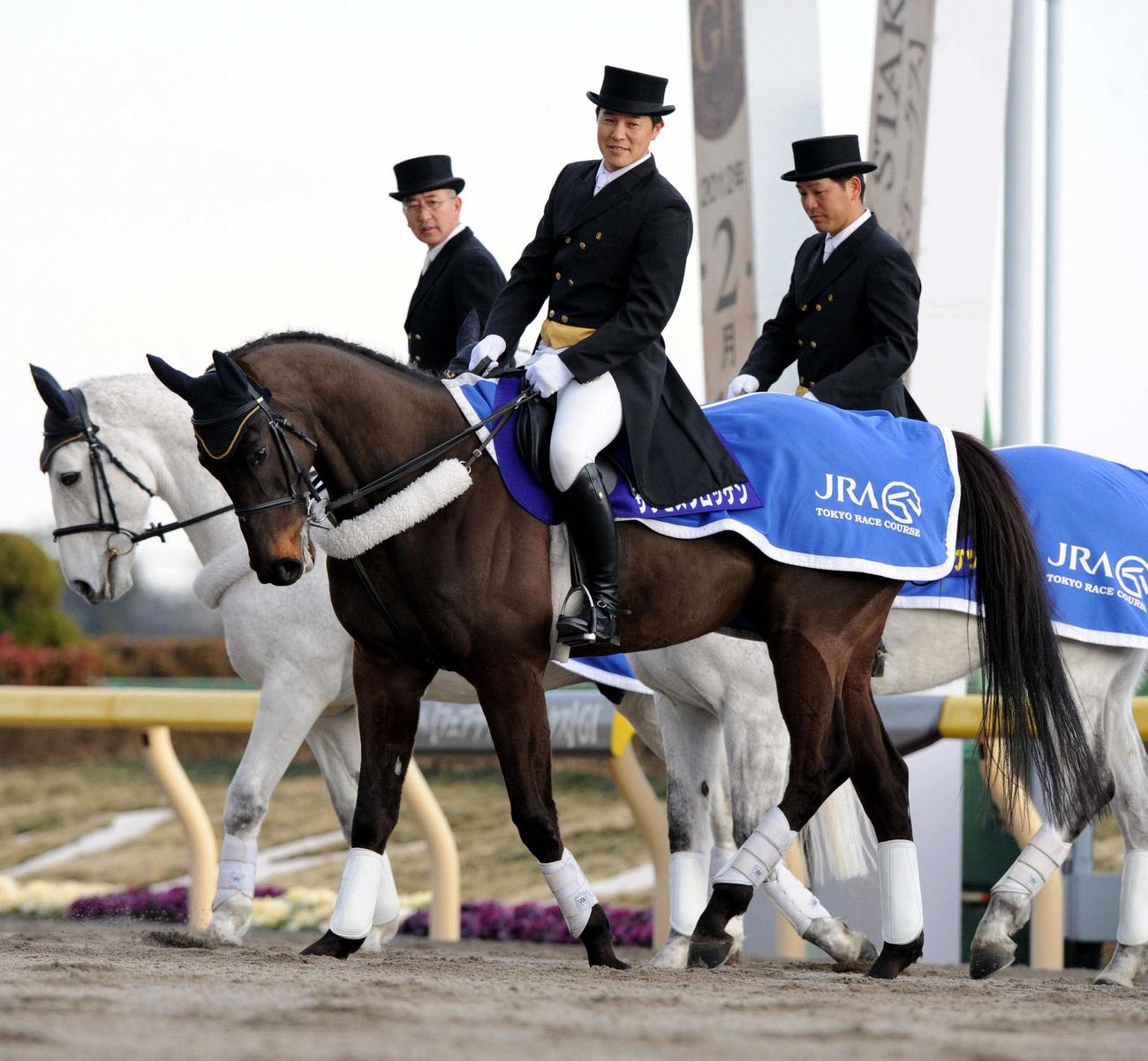 東京競馬場で誘導馬を務めていたサクセスブロッケン