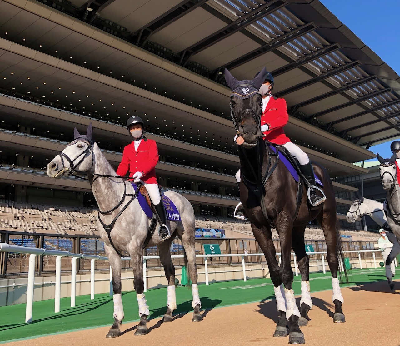 東京競馬場で誘導馬を務めていたサクセスブロッケン（右）