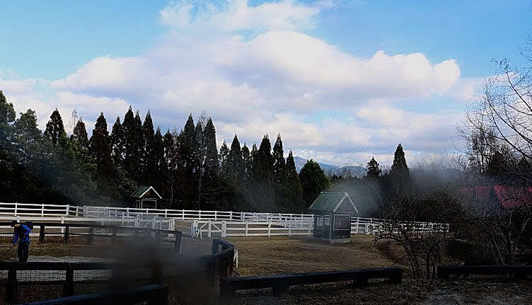 引退馬の森・ホースレストの放牧場