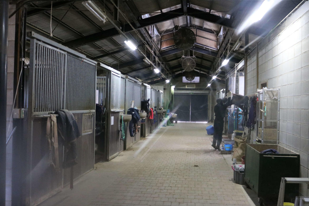 引退馬の森・ホースレストの馬房