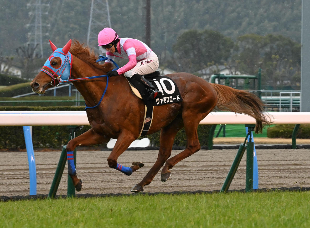 小倉11R、別府特別を制したヴァモスロード（撮影・前岡正明）