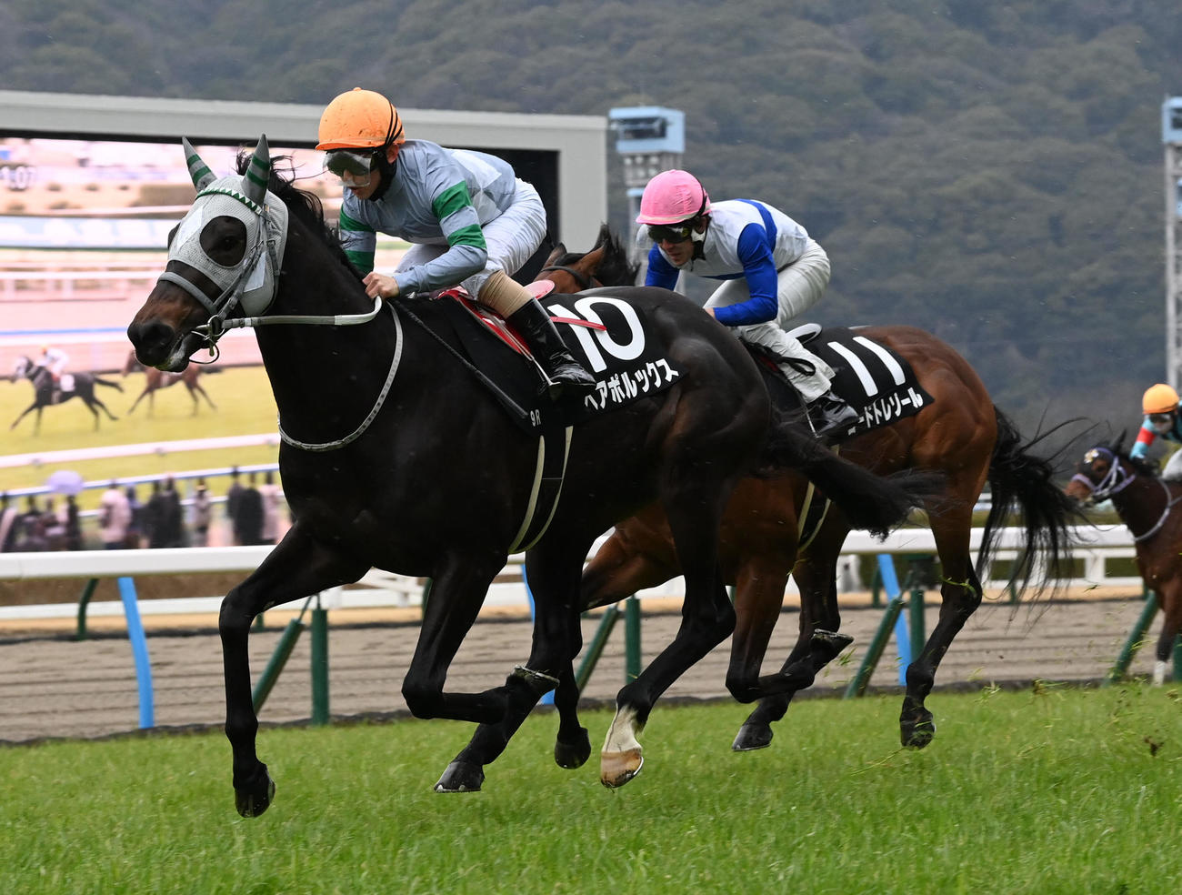 小倉9R、かささぎ賞を制したペアポルックス（撮影・前岡正明）