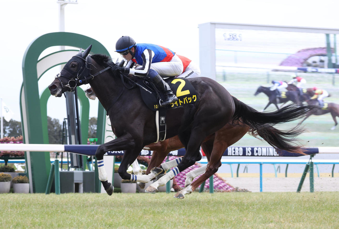 京都10R、ゴール前抜け出してエルフィンSを制したライトバック（撮影・白石智彦）